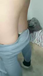 Tumorvosa webcam cam4 model stream image