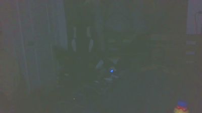 boost2469 webcam model stream image