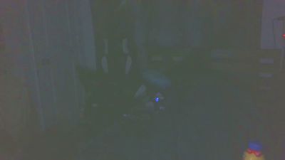boost2469 webcam model stream image
