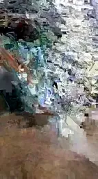 desi_pb02 webcam model stream image