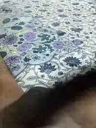 desi_pb02 webcam model stream image