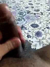 desi_pb02 webcam model stream image