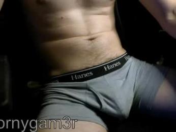 hornygam3r webcam model stream image