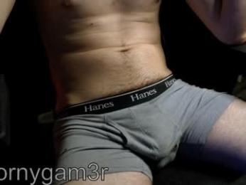 hornygam3r webcam model stream image