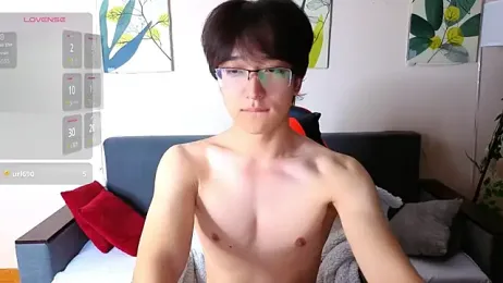 DianInav webcam model stream image