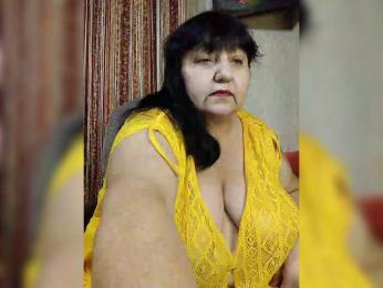 Nezsbudka webcam model stream image