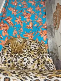 MEGANG02 webcam model stream image