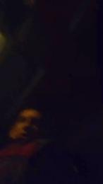 viteperromad webcam model stream image