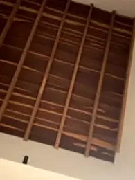 curchez_ webcam model stream image