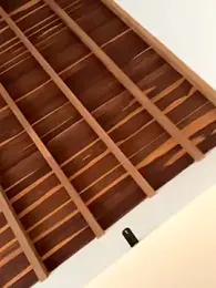 curchez_ webcam model stream image