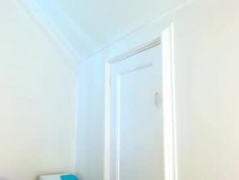 punktwink420 webcam model stream image