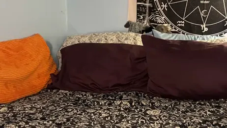 mysunidreamss webcam model stream image