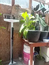 GoonParty webcam model stream image