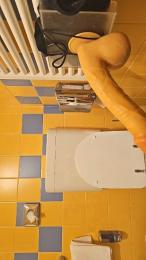 sesto4 webcam model stream image