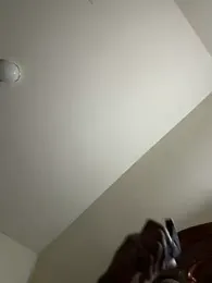 Triggerhappycj100 webcam model stream image