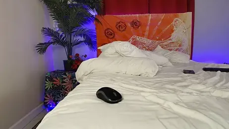 xxxvibesxo webcam model stream image