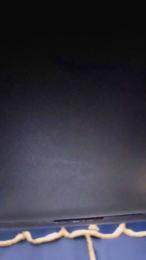 Afgc webcam model stream image