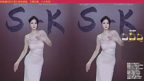 SK-001 webcam model stream image