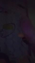 callett555 webcam model stream image