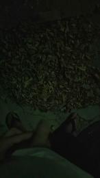 xikitinx1990 webcam model stream image