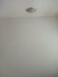 Virgin_Pussy_Love webcam model stream image