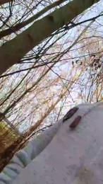 Socke72 webcam model stream image