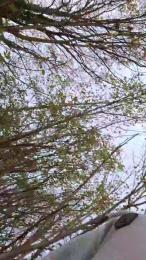 Socke72 webcam model stream image