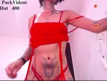 srta_fox webcam model stream image