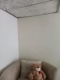 PhilipRich webcam stripchat model stream image