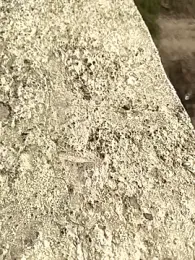 RNlov webcam stripchat model stream image