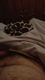 davidof3127 webcam model stream image