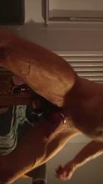 XXLDildoRider webcam model stream image