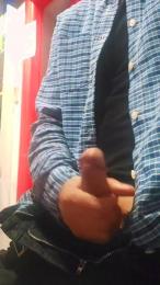 maialone55 webcam model stream image