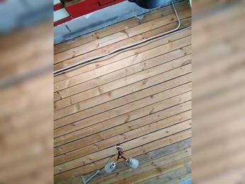 misReborn_Arieli webcam model stream image