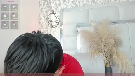 imxjoel webcam model stream image