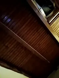 CurlyElisa webcam stripchat model stream image