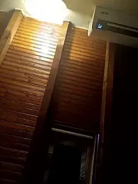 CurlyElisa webcam model stream image