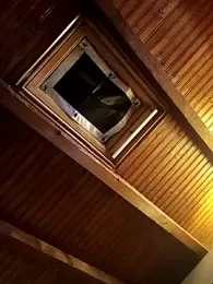 CurlyElisa webcam model stream image