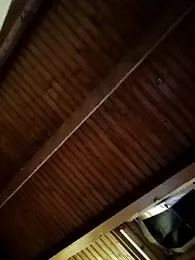 CurlyElisa webcam model stream image