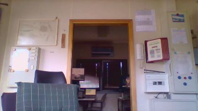 dogscout webcam model stream image