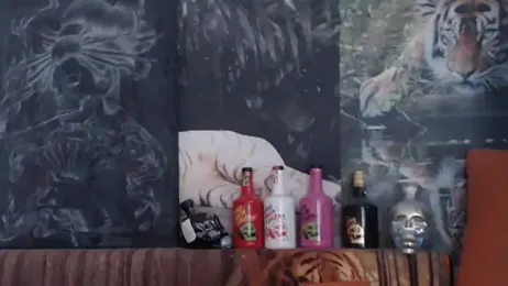 viking_30 webcam model stream image