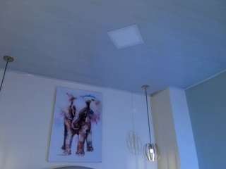 ayshel webcam model stream image