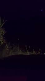 Agataperra35 webcam model stream image