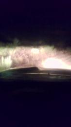 Agataperra35 webcam model stream image