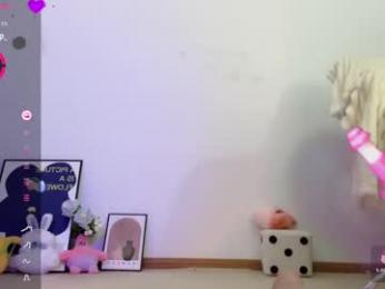 _flipped_ webcam model stream image