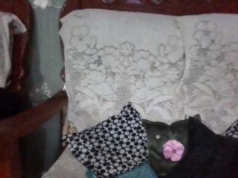 deepcute webcam model stream image