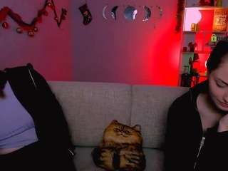 assole-meow webcam model stream image