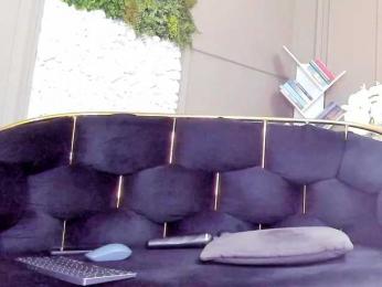 UnforseenLand webcam model stream image