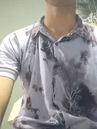 use_19 webcam model stream image