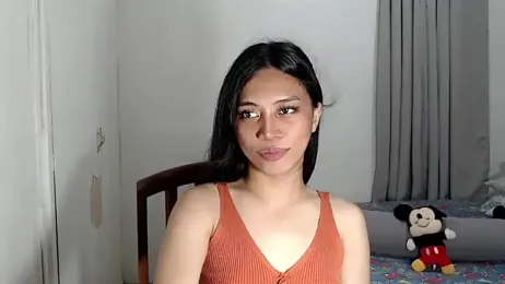 ursassytrans webcam model stream image